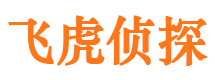 东兴区侦探公司